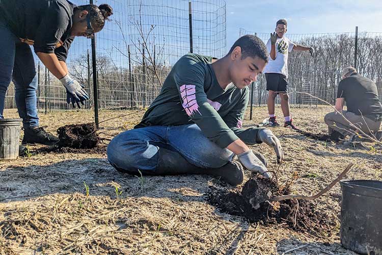 Local youths help the Cleveland Metroparks restore a forest at West Creek Reservation